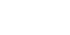 plena-inclusion